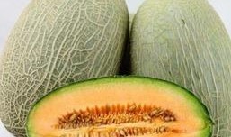 南宁网红吃瓜公众号推荐